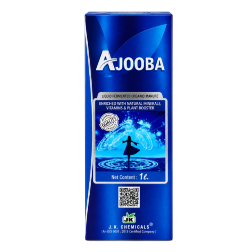 AJOOBA