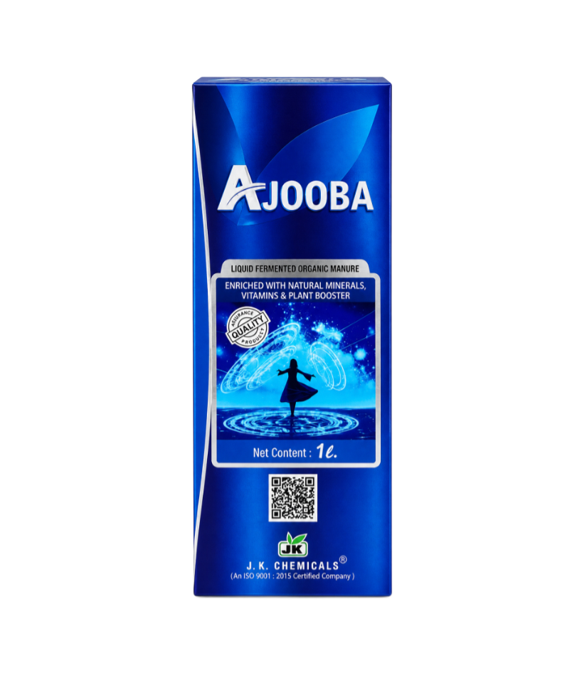 AJOOBA