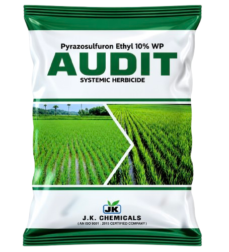 AUDIT