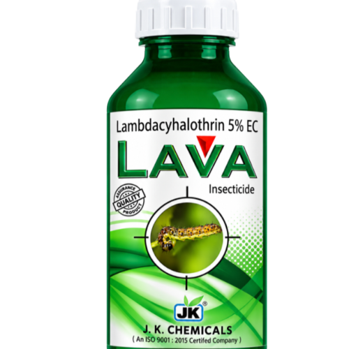 LAVA