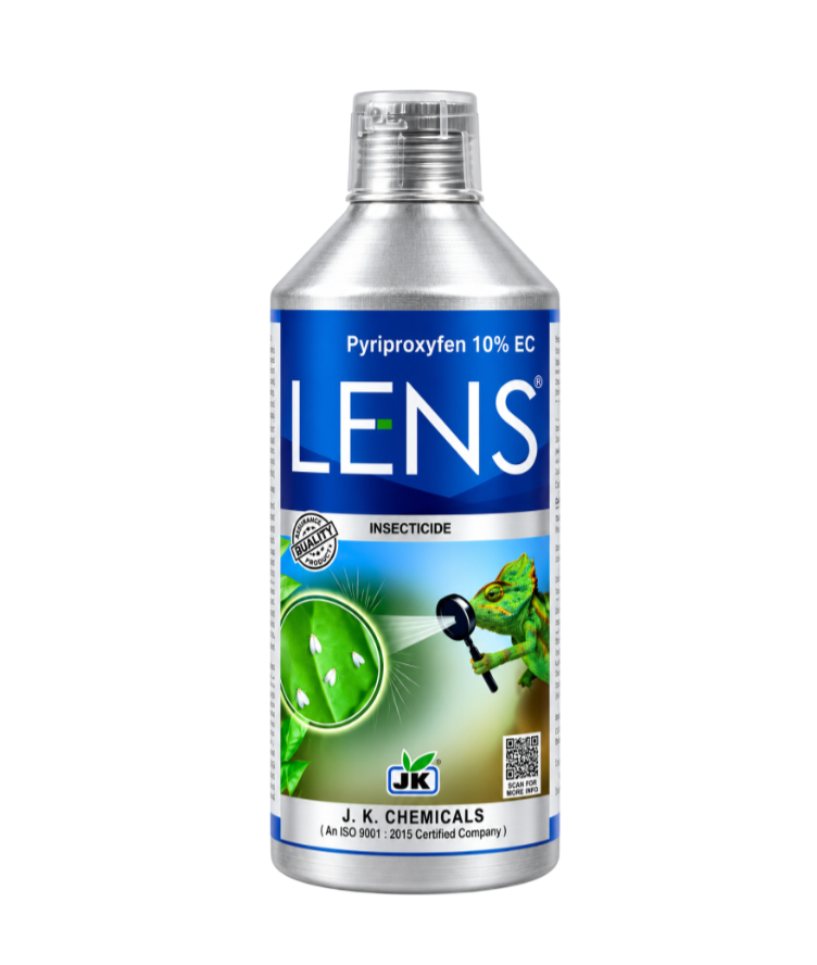 LENS