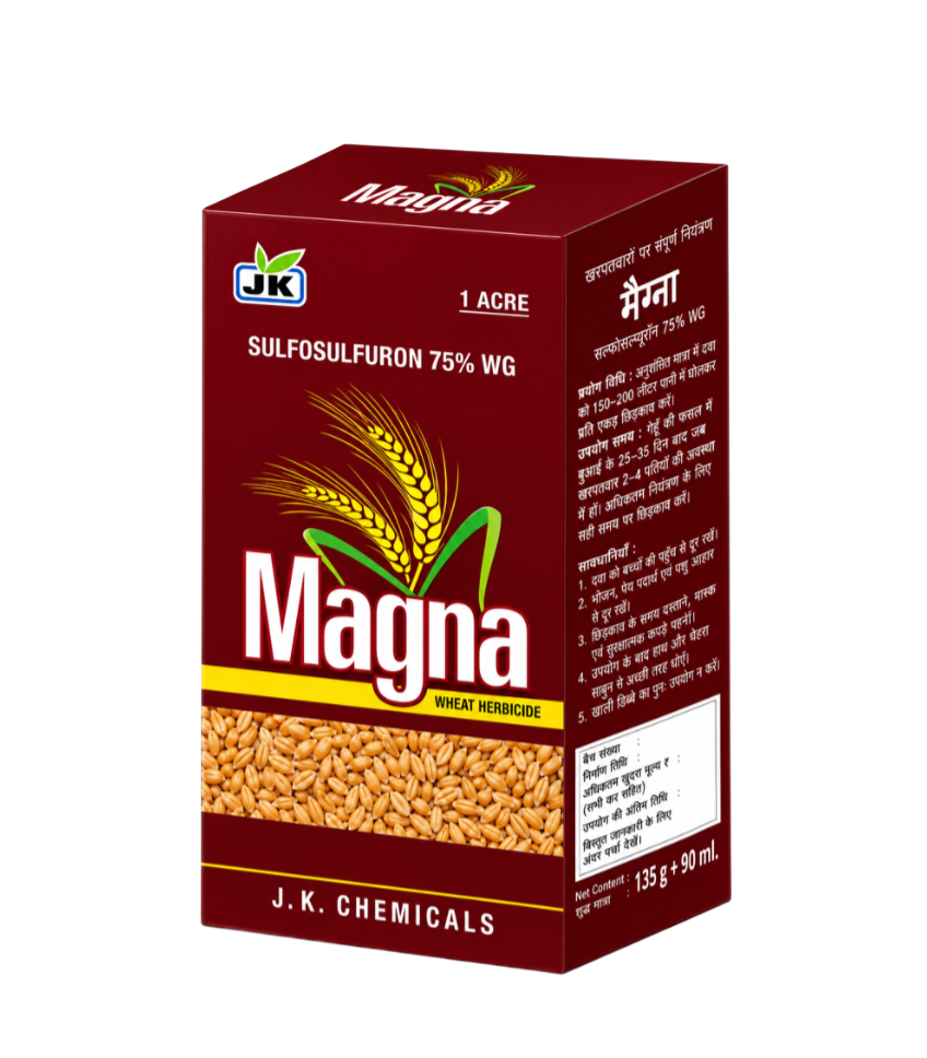 MAGNA