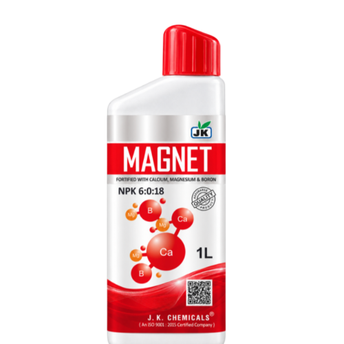 MAGNET