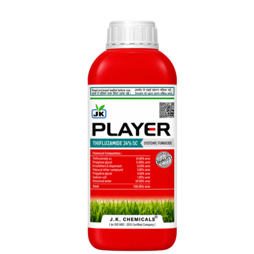 PLAYER