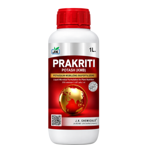 PRAKRITI