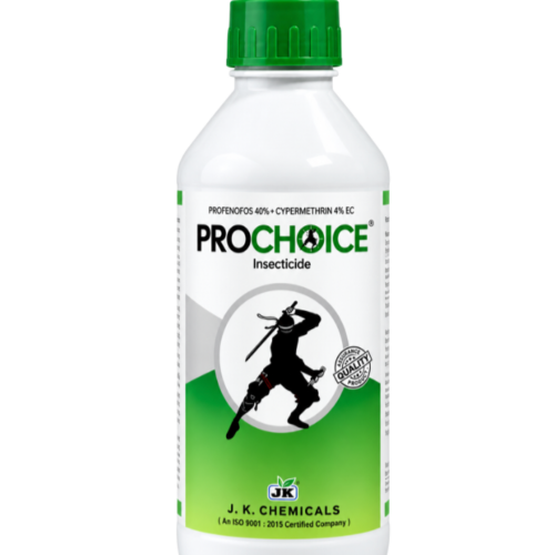 PROCHOICE