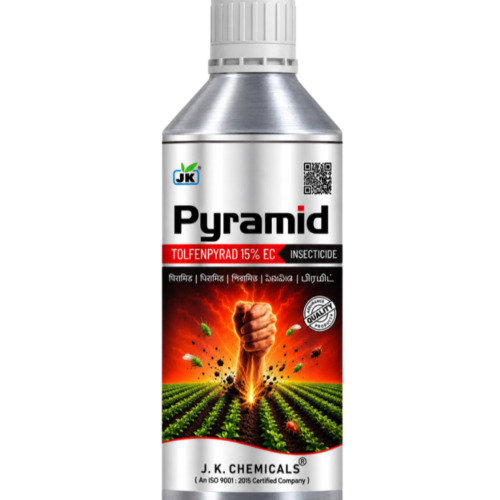 PYRAMID