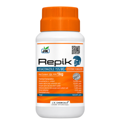 Repik