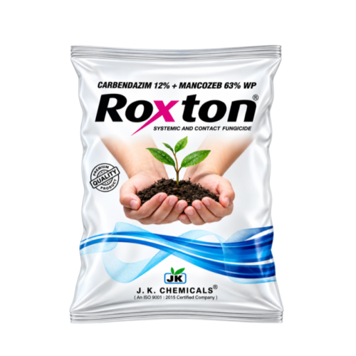 Roxton
