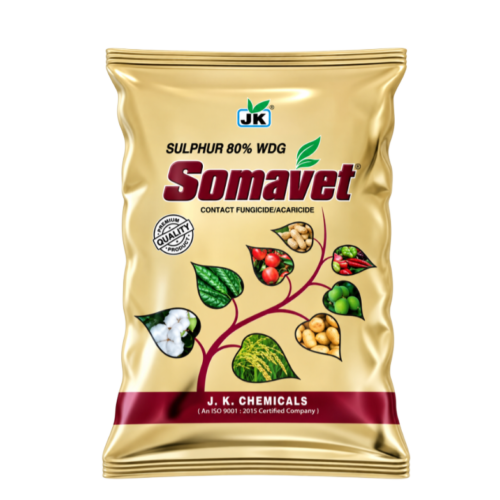 Somavet