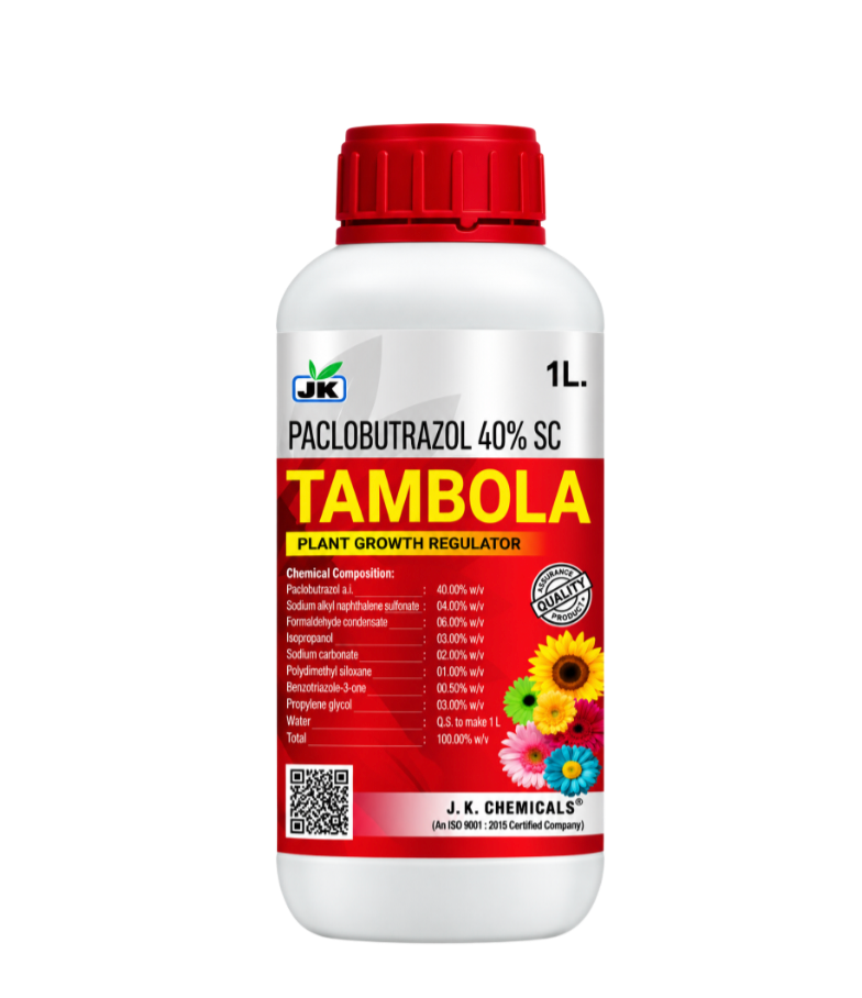 TAMBOLA