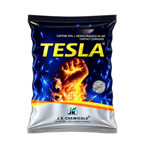 TESLA