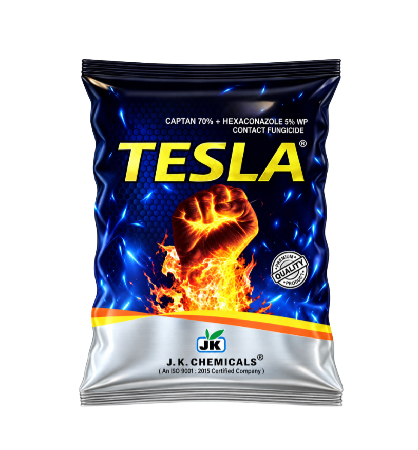TESLA