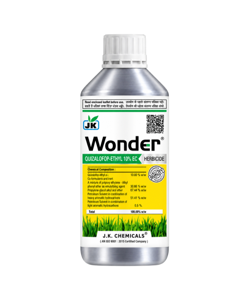 WONDER